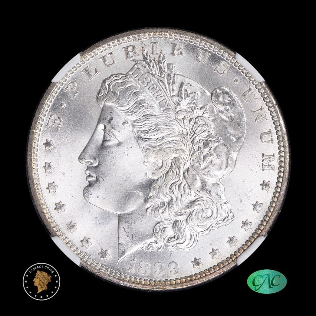 1904 D Morgan Dollar NGC PR-66