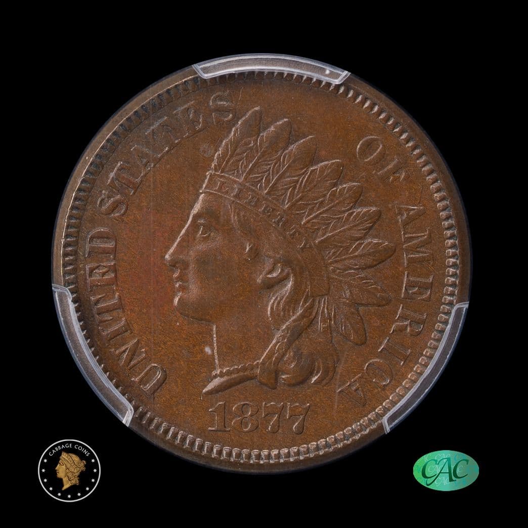 1903 D Barber Half Dollar NGC PR-65